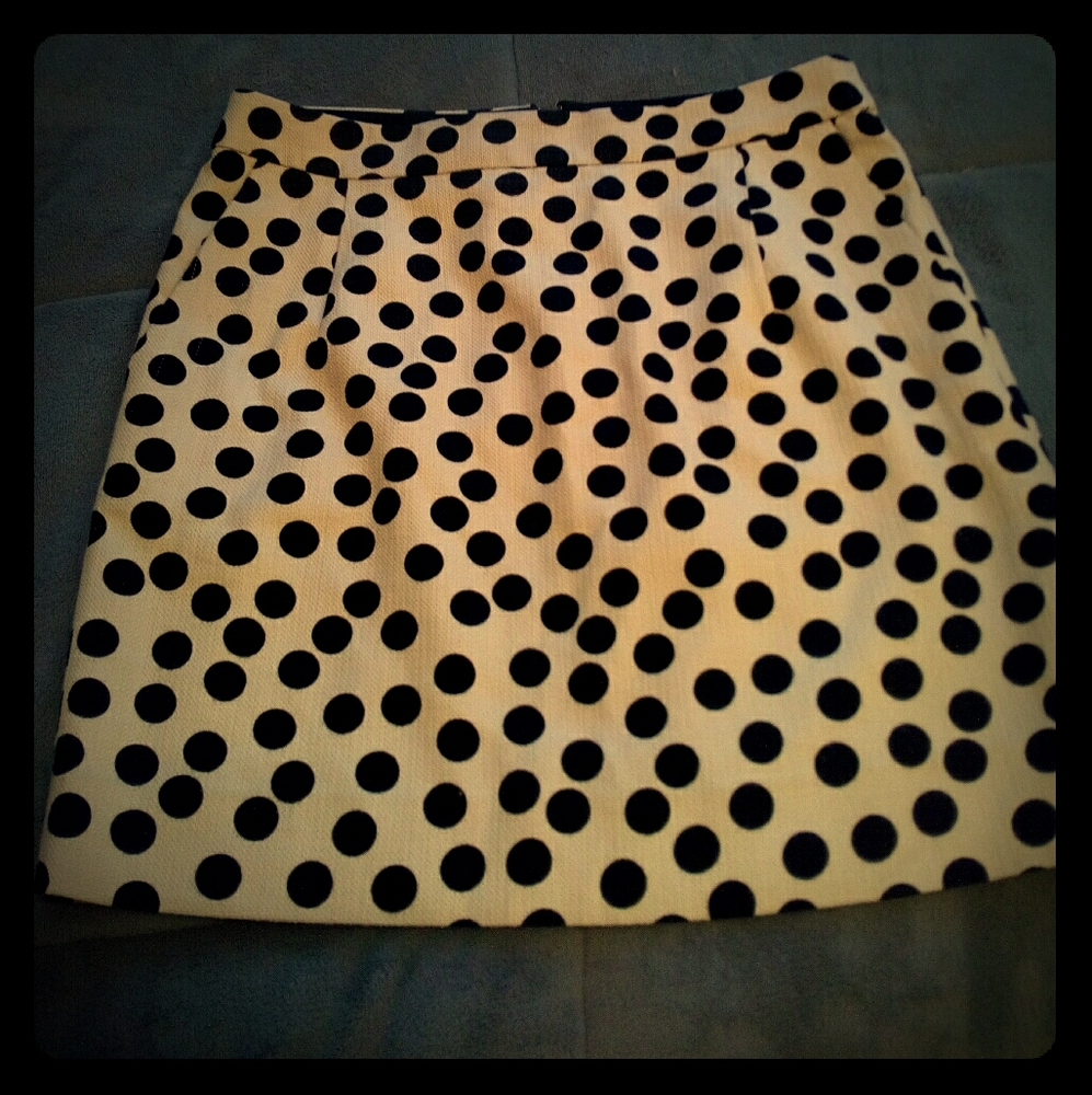 Jcrew mini skirt